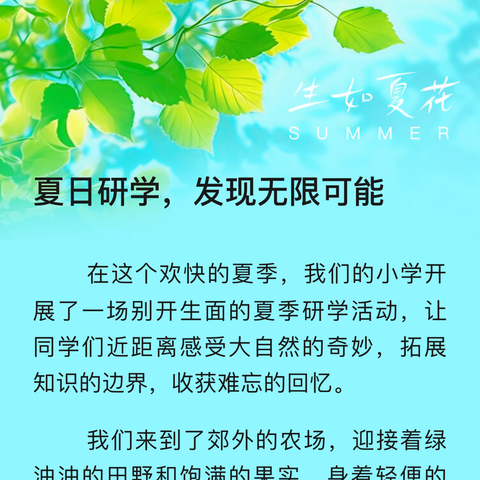 全力以“复”，学而时“习”  ——李鹊镇小张小学语文复习研讨