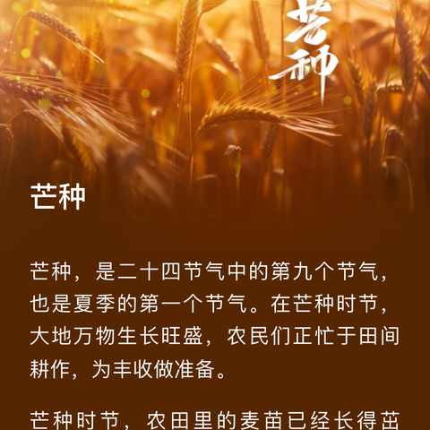 芒种至，盛夏始！又湿又热的日子来啦，这些养生规矩要掌握