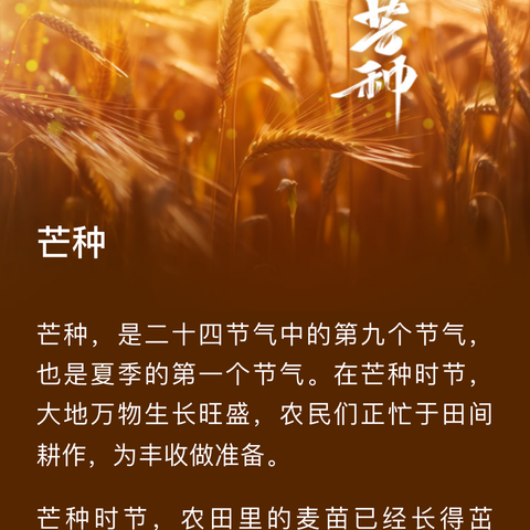 教师读书分享系列活动 之二十四节气·芒种