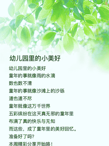 幼儿园里的小美好——中五班的“小菜园儿”