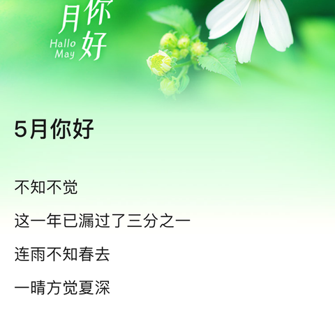 缤纷五月 多彩童年——保靖县铭诚幼幼托育中心5月份工作纪实