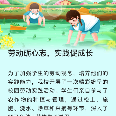 “我是勤劳小泉娃”温泉县城镇小学劳动教育系列——“劳动砺心志 实践促成长”
