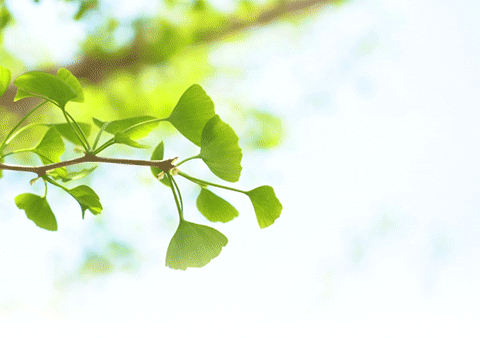 储运事业部“安全月启动大会”暨防暑降温慰问活动拉开帷幕