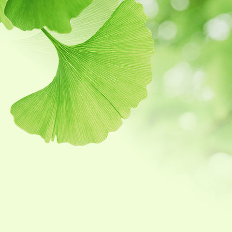 “英”你绽FUN 筑童心