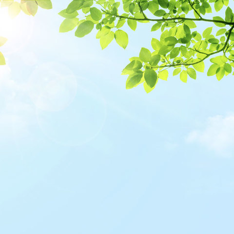 “探秘陀峰航线，重温柳州抗战历史” ——柳江区拉堡第二小学2024年春学期研学活动