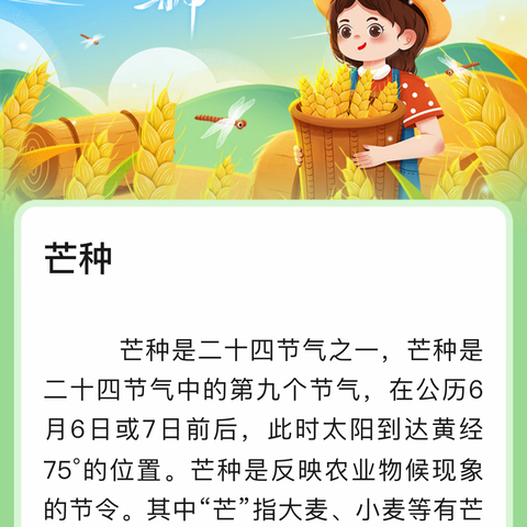 风吹麦成浪 蝉鸣夏始忙——六四六幼儿园芒种节气主题活动