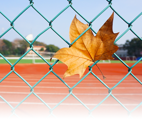 我运动，我健康，我快乐，我成长——临江镇东风中学体育教研活动