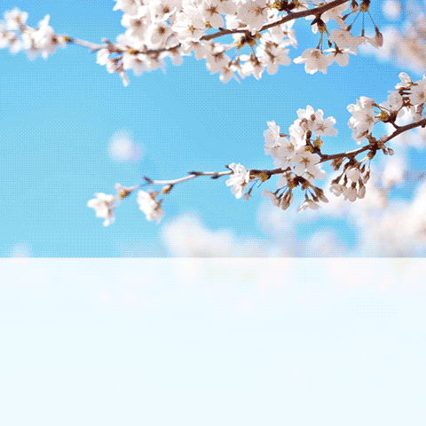 一路花香，俯拾皆美景——海口市尹翱翔名师工作室第五次教研活动