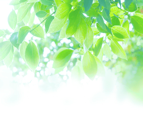 专家莅园指迷津，文化自信养童心 ——福州市优秀校（园）长（书记）培养项目第五阶段实践导师入校指导第五组培训活动在福州市亭江中心幼儿园举行