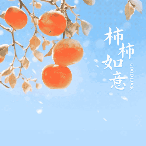 2312班期中考试总结表彰大会