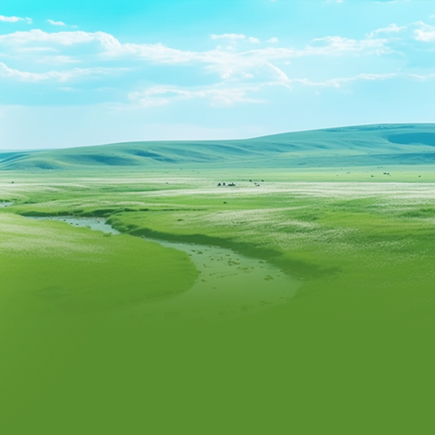 民族政策宣传月|《内蒙古自治区建设国家重要农畜产品生产基地促进条例》