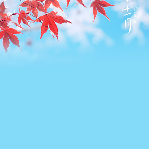 九江分行积极参加“月月测”，检验“三位一体”制度学习成效。